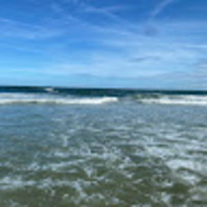 Meet your Posher, Rell